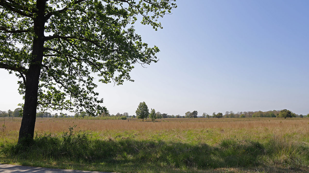 Hans en Gina Mom - Drents-Friese Wold 6 juni 2023